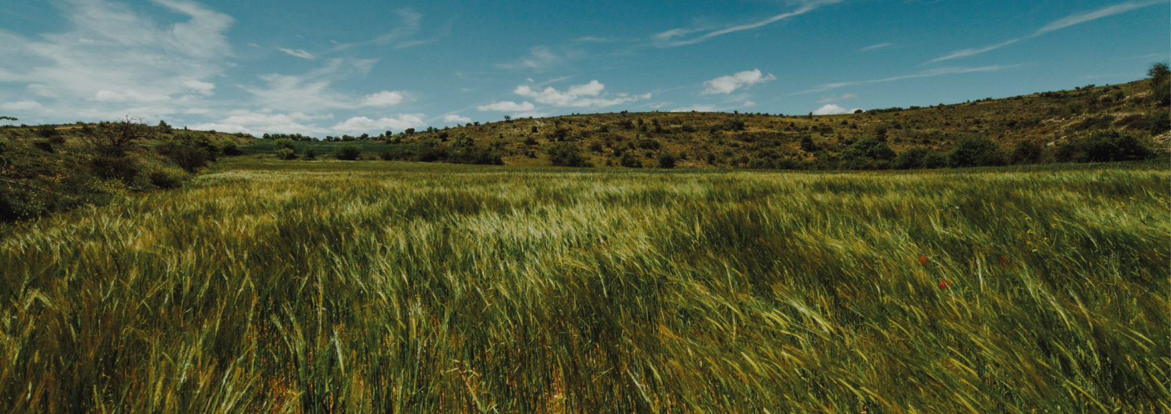 Biobased natuur isolatie